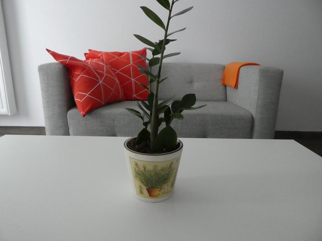 Cube Apartament Lublin